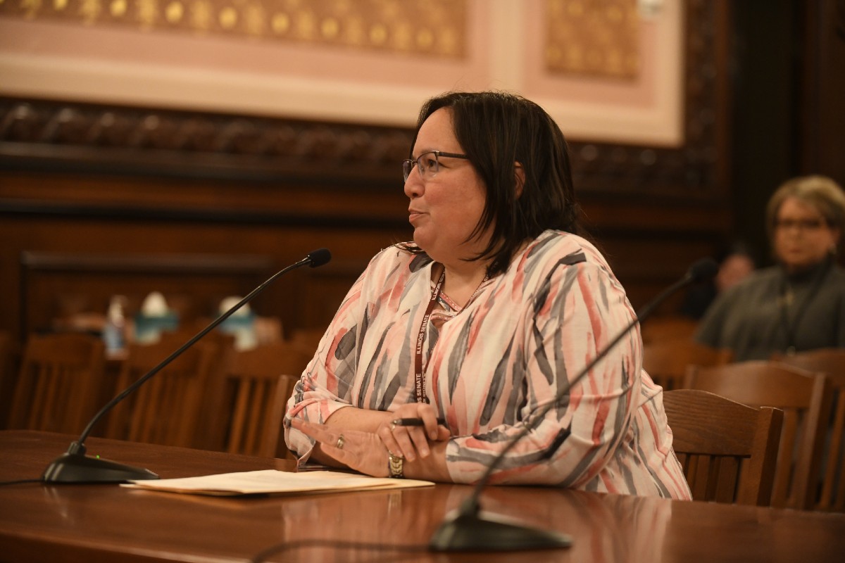 Senator Castro presenting a bill during a committee hearing.