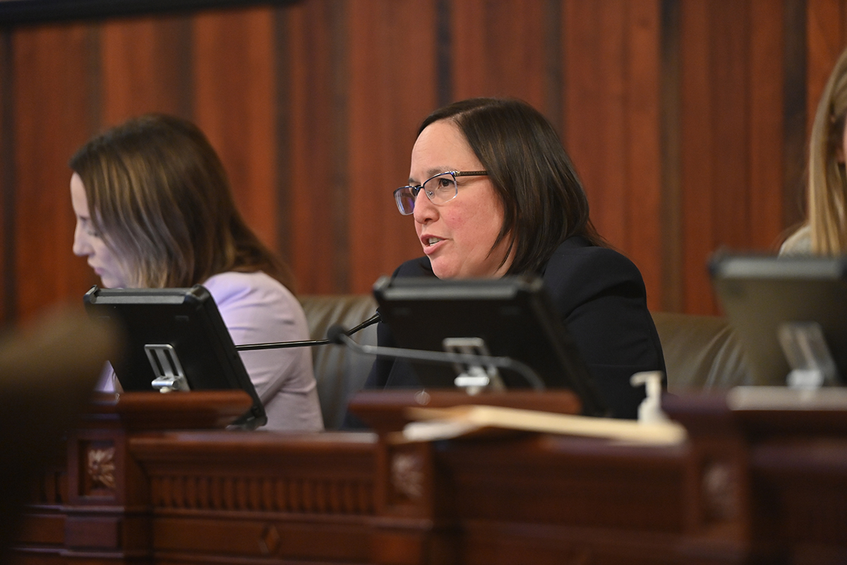 Senator Castro speaks during a committee hearing.