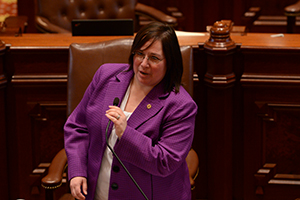 Senator Castro working to bring new development to Elgin