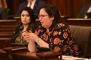 Sen. Cristina Castro