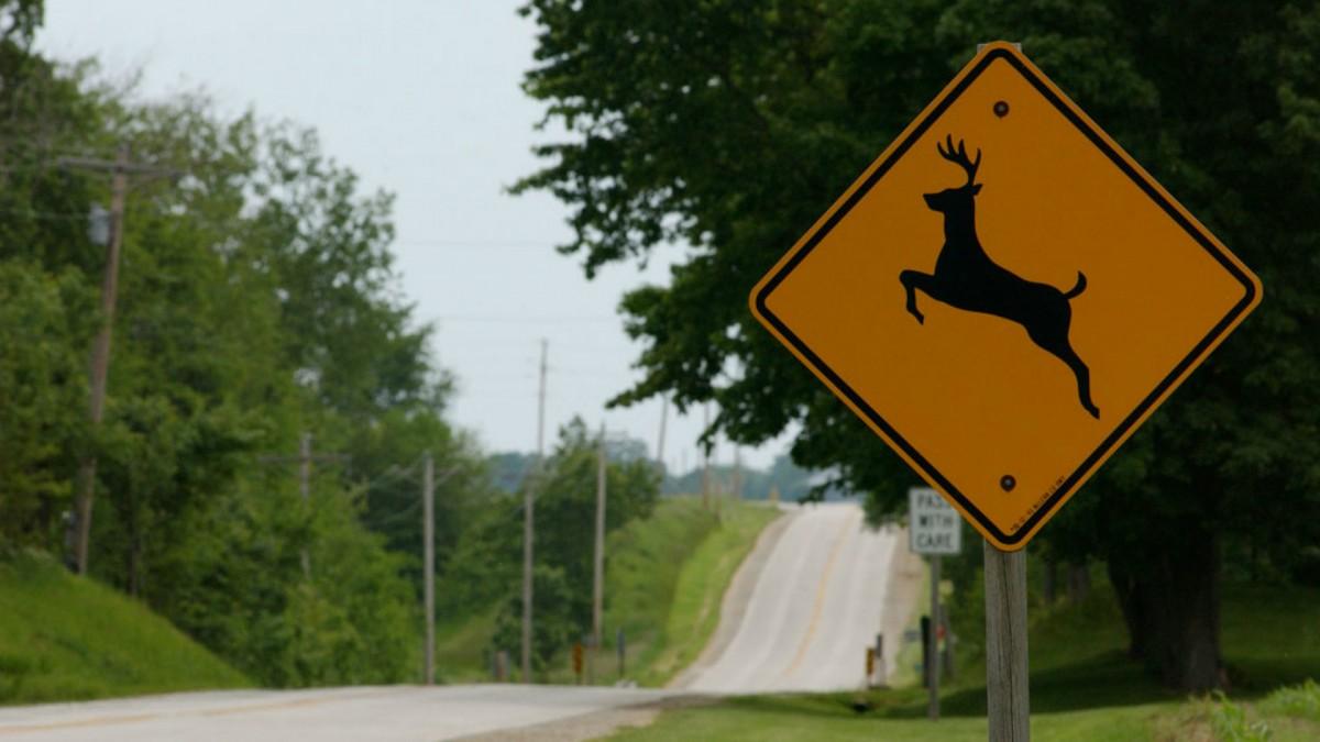 deerxing