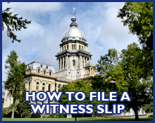 witness slip