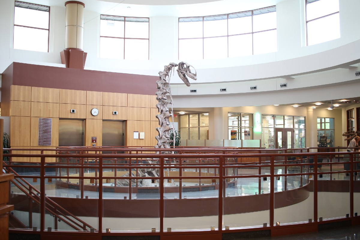 An image of the rotunda inside the Gail Borden Public Library