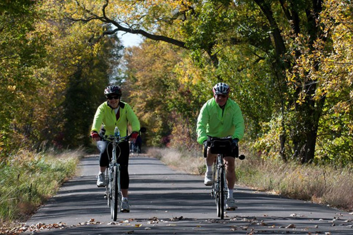Two people riding bicycles down a wooded path